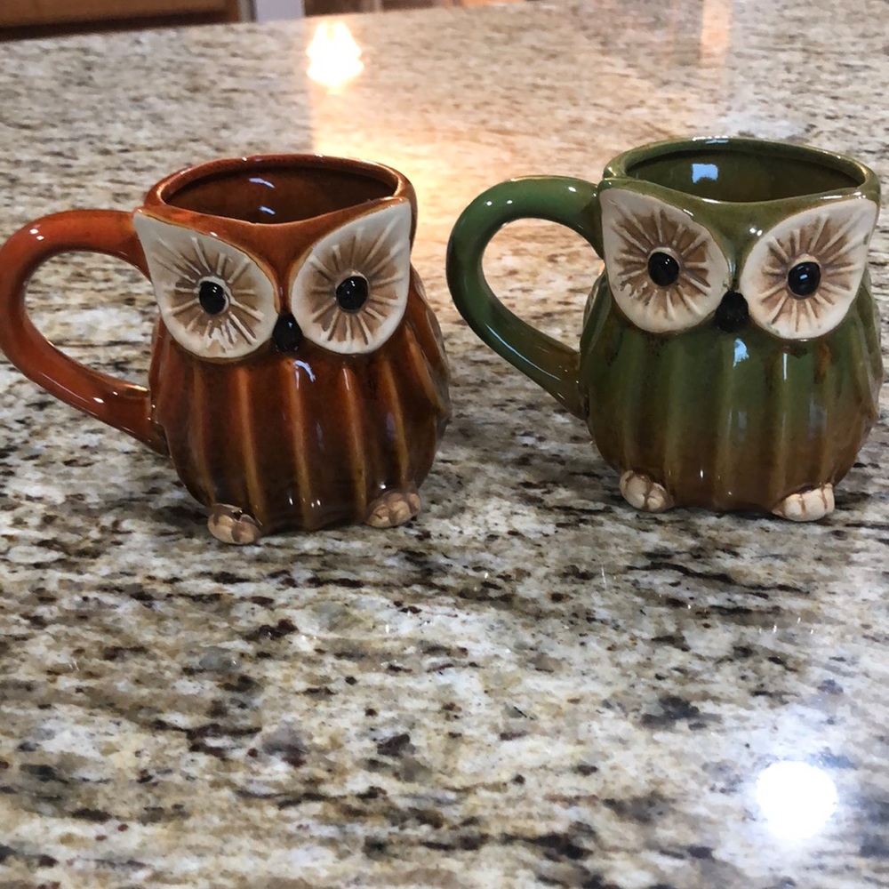 Owl Mugs Pair